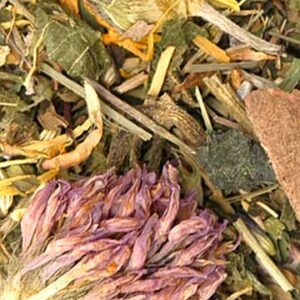 A sample of Organic Allergy Season tea.
