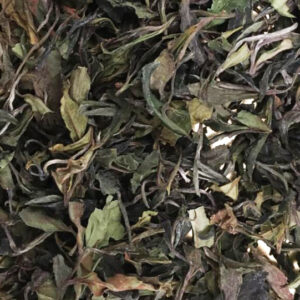 A sample of Organic Kumaon White Premium Bai Mu Dan tea.